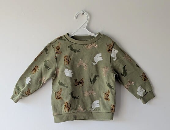 Pull imprimé animaux, Primark