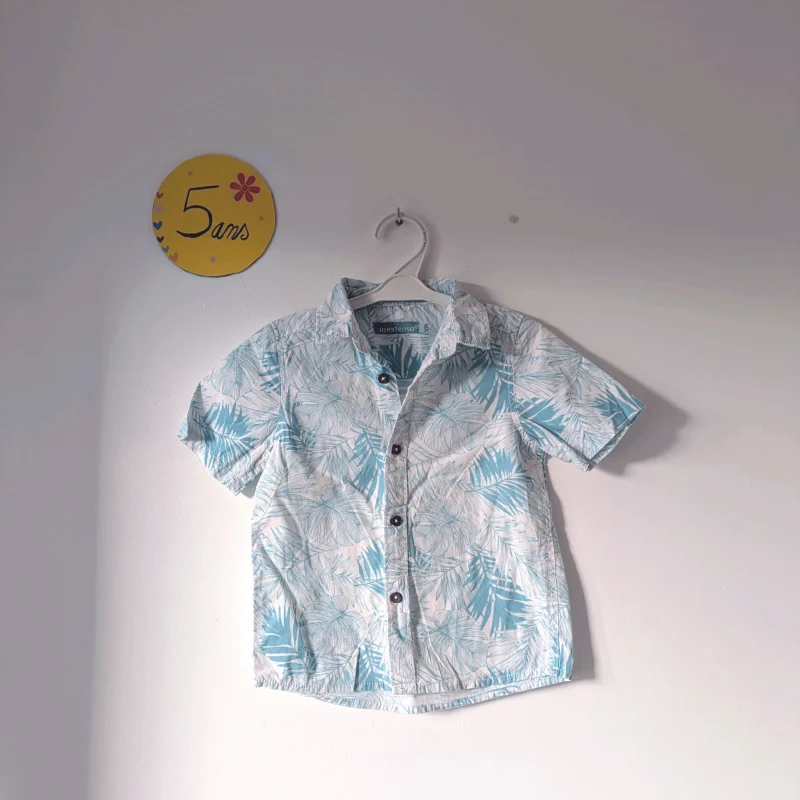 Chemise blanche et bleu, In Extenso